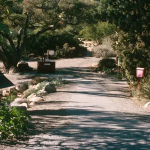 Garden Entrance