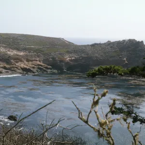 Docent field trip to Point Lobos with Mary Carroll