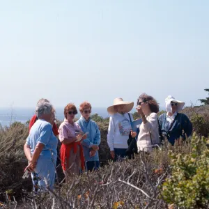 Docent field trip to Point Lobos with Mary Carroll