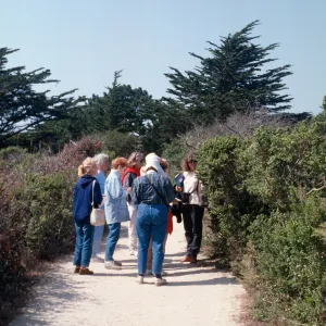 Docent field trip to Point Lobos with Mary Carroll