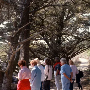 Docent field trip to Point Lobos with Mary Carroll