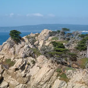 Docent field trip to Point Lobos with Mary Carroll