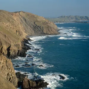 West side of island, Natividad I.