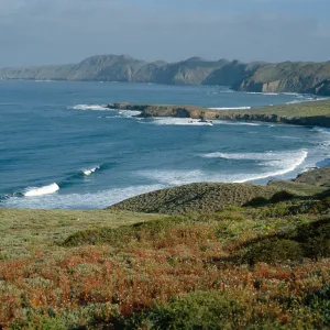 W. side of island, looking north, Natividad I.