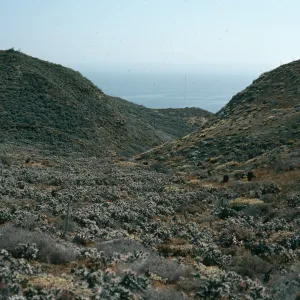 Natividad Island