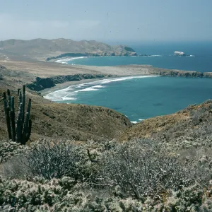 SW portion of island, looking south., Natividad Island