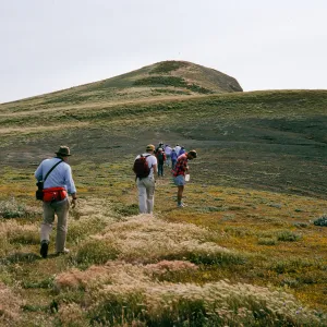 north end trail, Santa Barbara Island