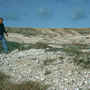 Jim Blakley, land snails, San Nicolas Island
