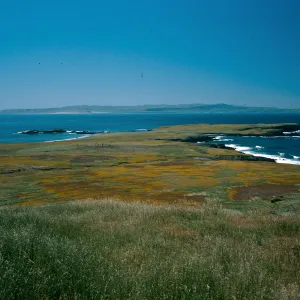 Fraser Point, Santa Rosa Island in distance.