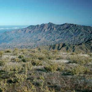 Cedros Island