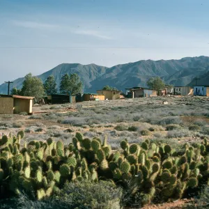 Cedros Island, Campo Punta Norte