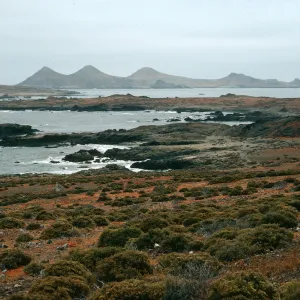 West San Benito Island, flats on Northeast portion 