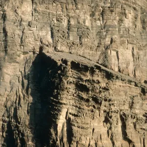 Guadalupe Island, outer islet