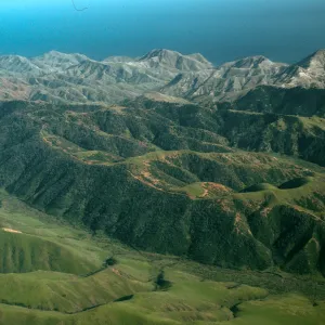 Santa Cruz Island, Christy Pines