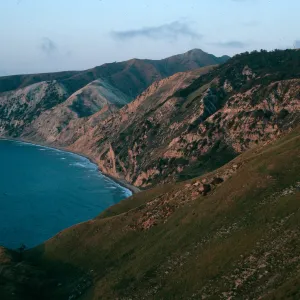 Santa Cruz Island, China Pines at dusk