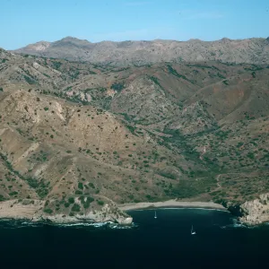 Santa Cruz Island, Coches Prietos