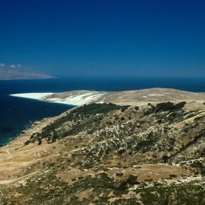 Santa Rosa Island, Skunk Point, Torrey Pines