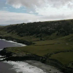 Santa Rosa Island, Beechers Bay, Torrey Pines