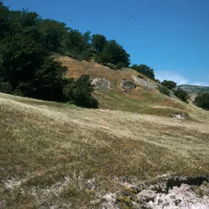 Santa Rosa Island, Beechers Bay, Torrey Pines