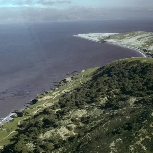 Santa Rosa Island, Torrey Pines, Skunk Point