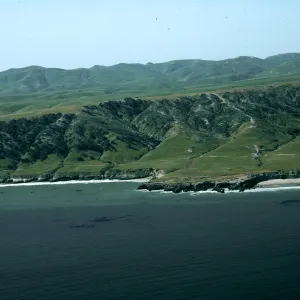 Santa Rosa Island, Torrey Pines