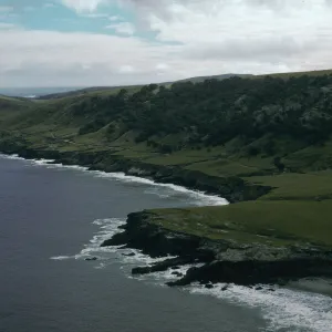 Santa Rosa Island, Beechers Bay, Torrey Pines