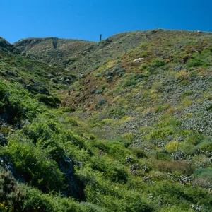 Natividad Island, canyon, Northeast side