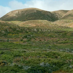 West San Benito Island, flats, North of village