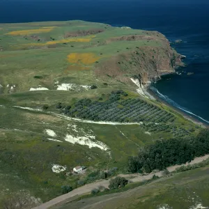 Santa Cruz Island, Smugglers Cove