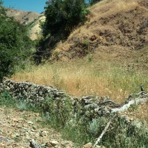 Santa Cruz Island, Middle Ranch ruins