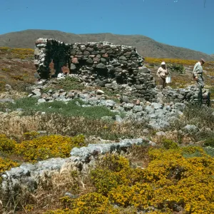 Santa Cruz Island, ruins, Forneys Cove