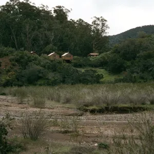 Santa Cruz Island, the cabins, West of Bosque Mono grove