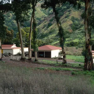 Santa Cruz Island, University of California field station
