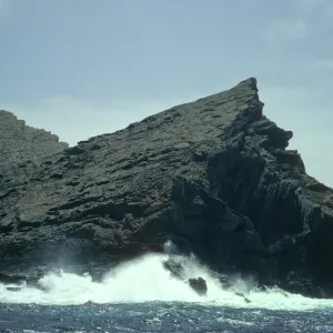 Guadalupe Island