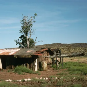 Guadalupe Island, cabin, North end of cypress grove