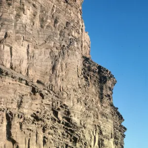 Guadalupe Island, outer islet
