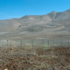 Guadalupe Island, airstrip enclosure