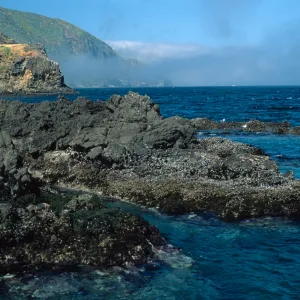Middle Anacapa Island, looking west, sheep camp
