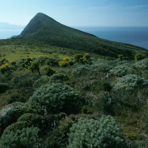 West Anacapa Island, Summit Peak from West flanks of Camel Peak