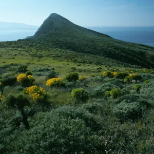 West Anacapa Island, Summit Peak from West flanks of Camel Peak