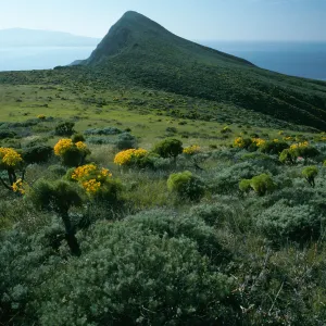 West Anacapa Island, Summit Peak from West flanks of Camel Peak