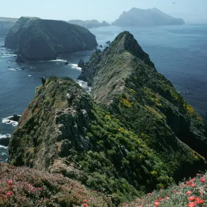 East Anacapa Island, Inspiration Point, looking west