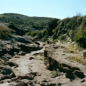 Willow Canyon, San Miguel Island