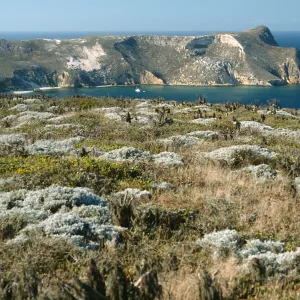 View of Cuyler Harbor, San Miguel Island