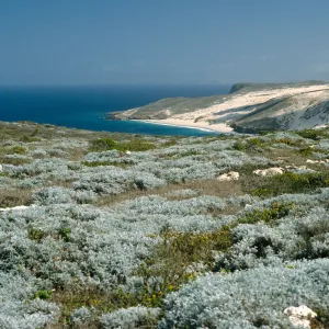 View of Cuyler Harbor, San Miguel Island