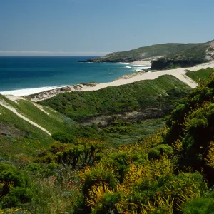 Cuyler Harbor, Mouth of Cañada del Mar, San Miguel Island