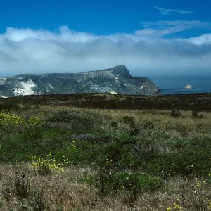 Lester Ranch Site, San Miguel Island
