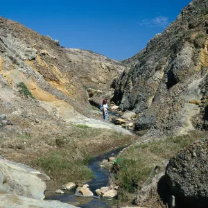 Santa Cruz Island, lower Sauces Canyon