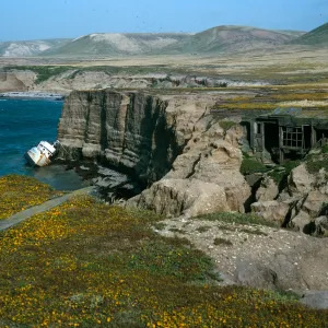 Santa Rosa Island, Orrs Camp, wreck of Pleiades