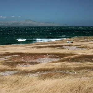 Santa Rosa Island, East Point
